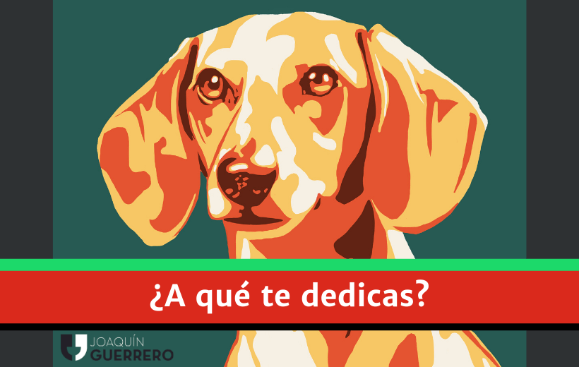¿A qué te dedicas?